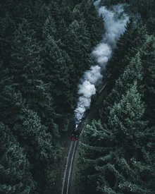 Photo art by Luca Jaenichen: steam train in the forest with a calm, nostalgic mood.