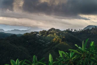 Photo art by Felix Finger: tropical upland with clouds and green foliage
