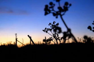 Beautiful photo art by Katharina Stöcker: peaceful sunset over a meadow in Chile