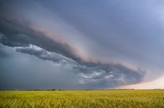 Photo art by Dennis Oswald: thunderstorm over rice fields in Oklahoma