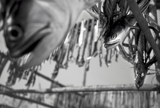 Jakob Berr, Dry fish, Bangladesh