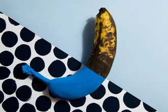 Colorful photo art of a chameleon banana with geometric patterns.