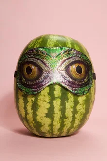 Funny photo art by Loulou von Glup: a watermelon shaped like a snake