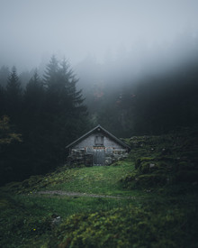 Dorian Baumann, Shelter