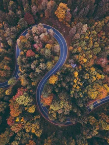 Aerial view of a winding road through green woods in Bavaria, autumn mood.
