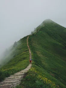Fotokunst von Jannik Heck: ruhige Berglandschaft im Nebel mit sanften Grüntönen