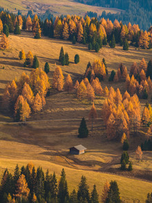 Gergo Kazsimer, Lost Cabin - Italy, Europe)