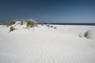 Daniel Schoenen, Sylt - Germany, Europe)
