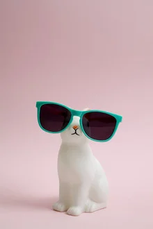 Playful bunny wearing sunglasses, happily looking into the camera.