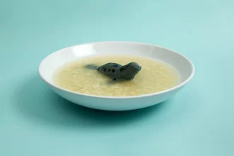Fotografische Darstellung einer humorvollen Seelöwen-Suppe in einem Teller.