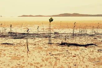 Fotokunst von Julia Hafenscher: gemütliche Atmosphäre in einem australischen Zuhause