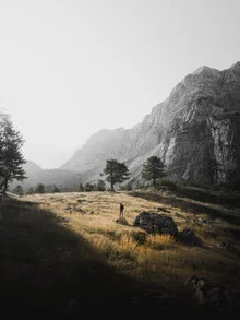 Photo art by Frithjof Hamacher: gentle light mood over rocks and trees