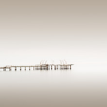 Ronny Behnert, Oro | Venice