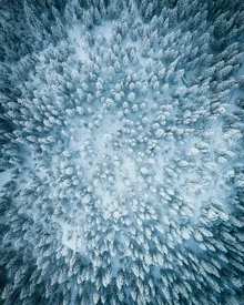 Fotokunst von André Alexander: Schneebedeckter Wald in der blauen Stunde