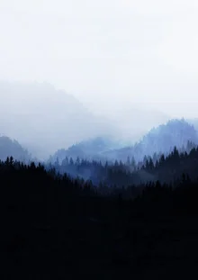 Photo art by Mareike Böhmer: mist envelops quiet tree silhouettes in a forest