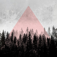 Mareike Böhmer, Woods 3X