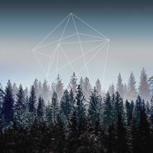 Mareike Böhmer, Woods