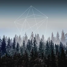 Woods - Fineart photography by Mareike Böhmer