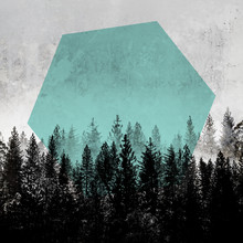 Mareike Böhmer, Woods 3