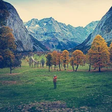 Autumn landscape with maple trees and mountains in the background.