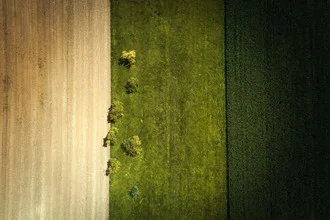 Luftaufnahme von Feldern in Deutschland, sanfte Farben und ruhige Komposition