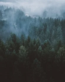 Photo art by Quentin Strohmeier: a calm view of a forested peak