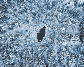 Winterliche Landschaft mit schneebedeckten Bäumen und ruhigem See
