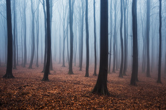 Philip Gunkel, homeland fairy tale I