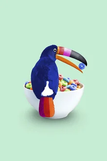 Illustration of a funny toucan with cereal and cornflakes.