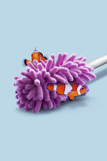 Jonas Loose, Anemone Wiper - Germany, Europe)