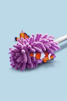 Wandbild von Jonas Loose: verspielte Anemone mit einem Clownfisch im Ozean