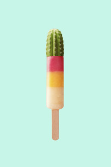 Jonas Loose, Cactus Ice - Germany, Europe)