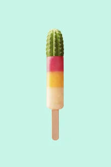 Wall art by Jonas Loose: cheerful cactus ice cream illustration with vibrant colors
