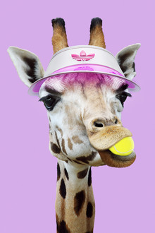 Jonas Loose, Tennis Giraffe - Germany, Europe)