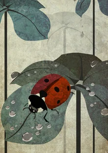 Illustration of a ladybug on leaves, friendly and calm, by Sabrina Ziegenhorn.