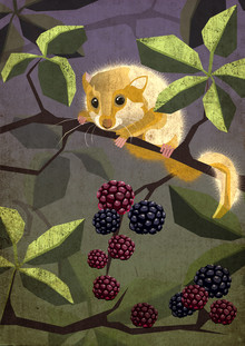 Sabrina Ziegenhorn, Haselmaus