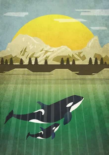 Illustration von Sabrina Ziegenhorn: Orka schwimmt im klaren Wasser unter der Sonne.