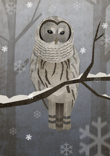 Sabrina Ziegenhorn, snowy owl