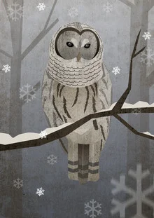 Illustration of a snowy owl in a snowy forest, gentle colors and calm mood.