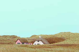 Holger Nimtz, Klitrosen - Denmark, Europe)