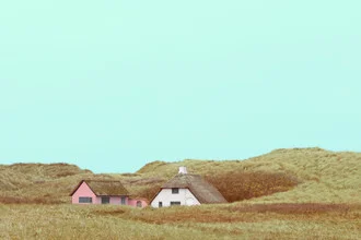 Klitrosen - fotokunst von Holger Nimtz