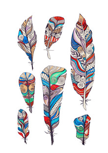 Sabrina Ziegenhorn, feathers