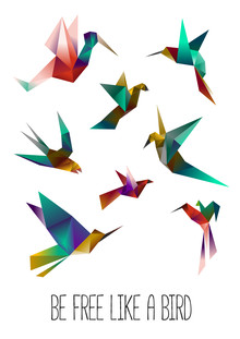Sabrina Ziegenhorn, free like a bird