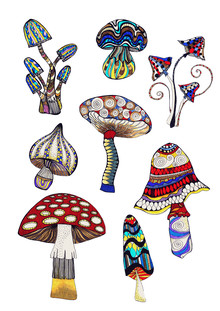 Sabrina Ziegenhorn, mushrooms