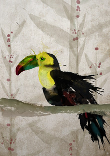 Sabrina Ziegenhorn, Toucan