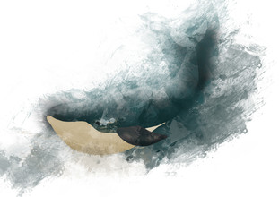 Sabrina Ziegenhorn, whale under water