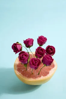 Photo art: Graphic composition of grapefruit and red roses in soft colors