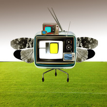 Marko Köppe, the truth is dead  · the flying circus