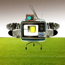 Illustration von Marko Köppe: Fernseher auf einer Wiese mit Falter in ruhiger Atmosphäre