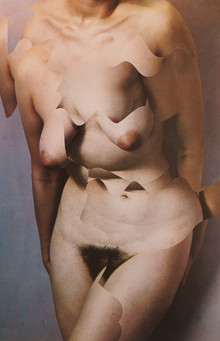 Marko Köppe, torso cut